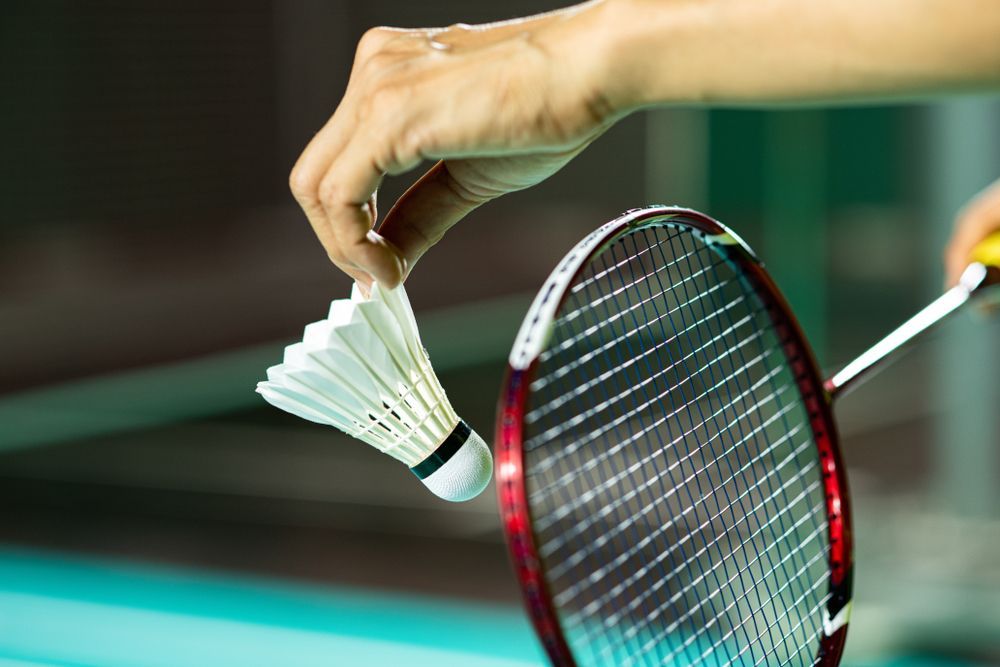 badminton tafalla aldo deportes